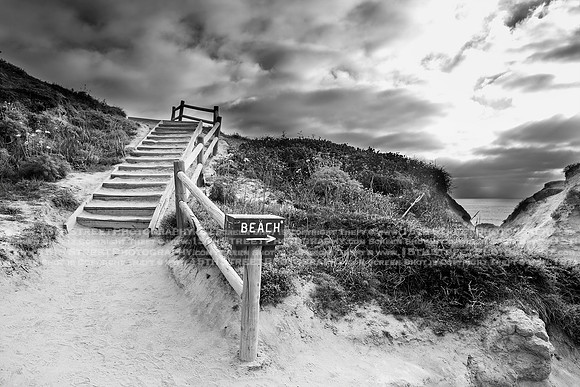 California Wall Fine Art Photo Print Artist Monica Kane Stewart