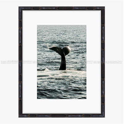 California Wall Fine Art Photo Print Artist Monica Kane Stewart