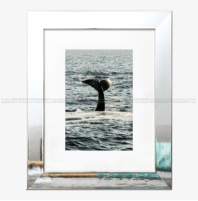 California Wall Fine Art Photo Print Artist Monica Kane Stewart