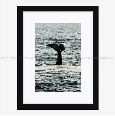 California Wall Fine Art Photo Print Artist Monica Kane Stewart