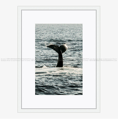California Wall Fine Art Photo Print Artist Monica Kane Stewart