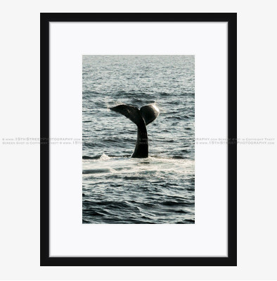 California Wall Fine Art Photo Print Artist Monica Kane Stewart