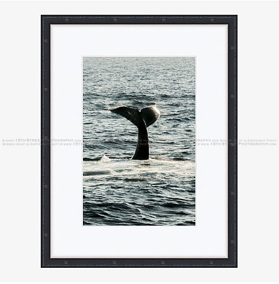 California Wall Fine Art Photo Print Artist Monica Kane Stewart
