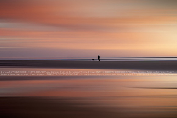 California Wall Fine Art Photo Print Artist Monica Kane Stewart