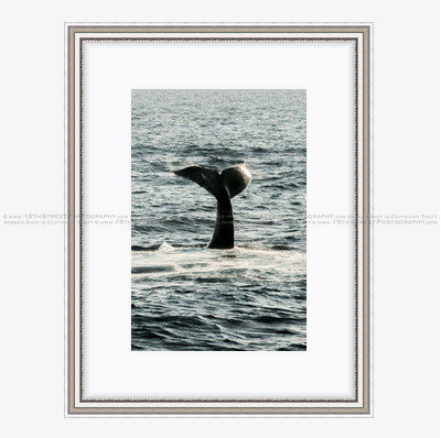 California Wall Fine Art Photo Print Artist Monica Kane Stewart