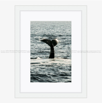 California Wall Fine Art Photo Print Artist Monica Kane Stewart
