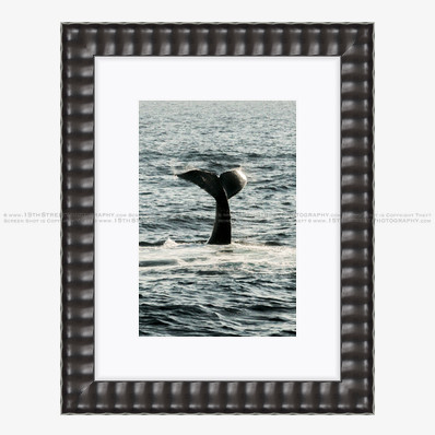 California Wall Fine Art Photo Print Artist Monica Kane Stewart