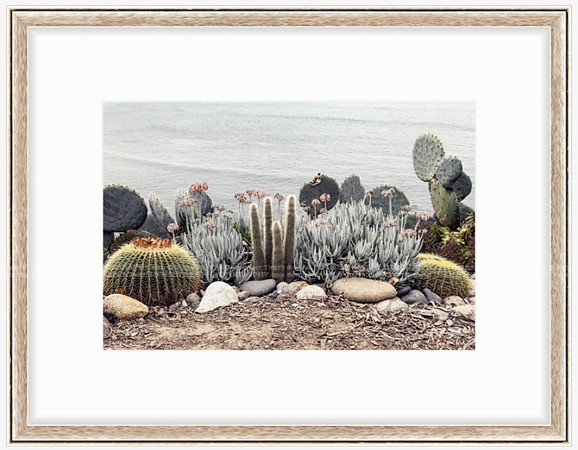 California Wall Fine Art Photo Print Artist Monica Kane Stewart