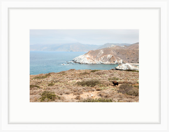 California Wall Fine Art Photo Print Artist Monica Kane Stewart