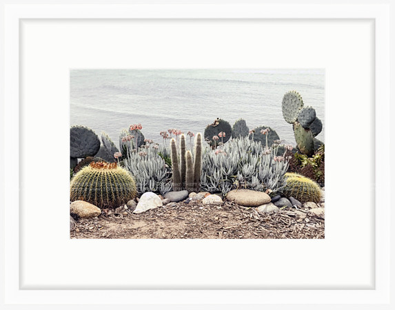 California Wall Fine Art Photo Print Artist Monica Kane Stewart