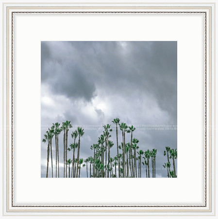California Wall Fine Art Photo Print Artist Monica Kane Stewart