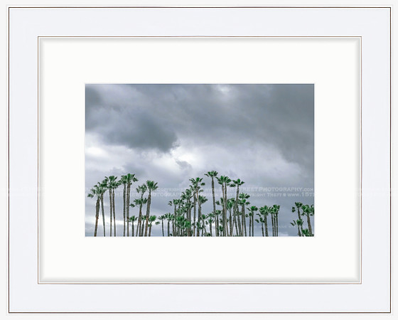 California Wall Fine Art Photo Print Artist Monica Kane Stewart