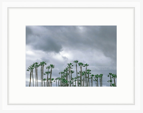 California Wall Fine Art Photo Print Artist Monica Kane Stewart