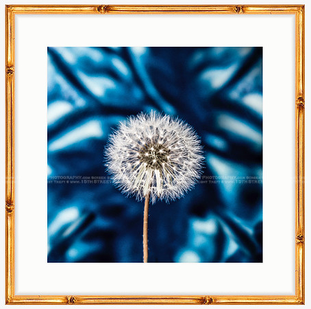 California Wall Fine Art Photo Print Artist Monica Kane Stewart