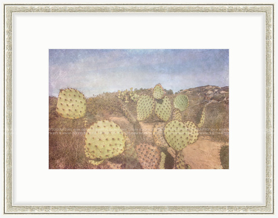 California Wall Fine Art Photo Print Artist Monica Kane Stewart