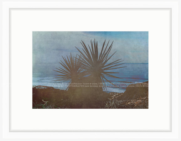 California Wall Fine Art Photo Print Artist Monica Kane Stewart