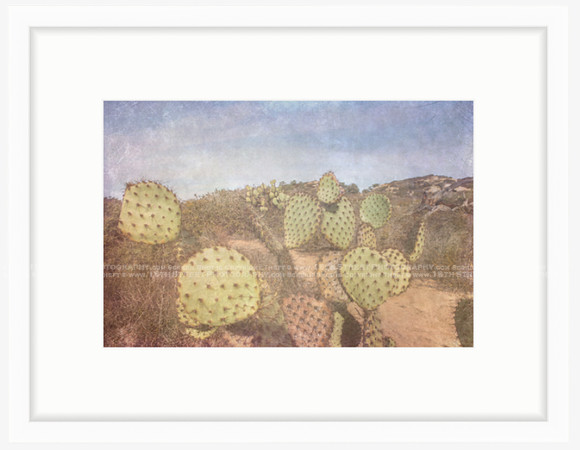 California Wall Fine Art Photo Print Artist Monica Kane Stewart