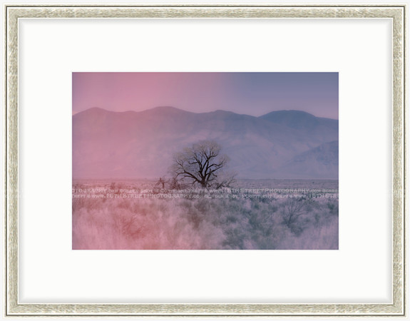California Wall Fine Art Photo Print Artist Monica Kane Stewart