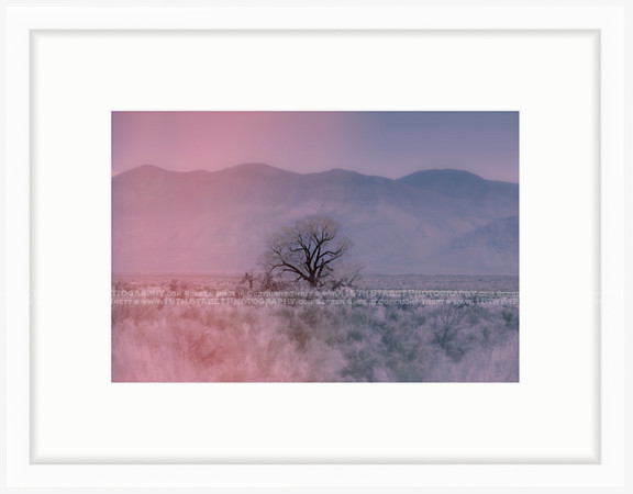 California Wall Fine Art Photo Print Artist Monica Kane Stewart