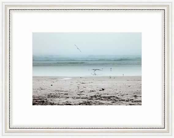 California Wall Fine Art Photo Print Artist Monica Kane Stewart