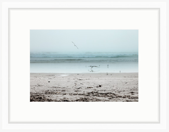 California Wall Fine Art Photo Print Artist Monica Kane Stewart