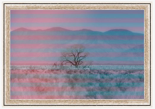 California Wall Fine Art Photo Print Artist Monica Kane Stewart