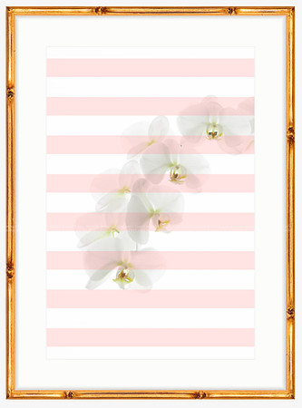 California Wall Fine Art Photo Print Artist Monica Kane Stewart