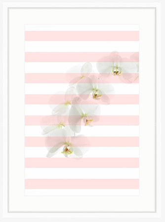 California Wall Fine Art Photo Print Artist Monica Kane Stewart