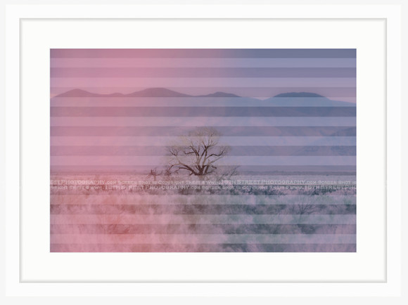 California Wall Fine Art Photo Print Artist Monica Kane Stewart