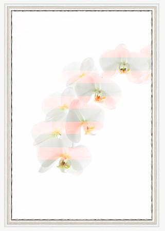 California Wall Fine Art Photo Print Artist Monica Kane Stewart