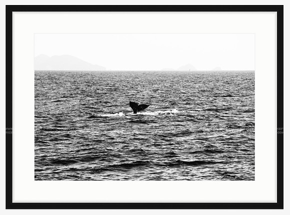 California Wall Fine Art Photo Print Artist Monica Kane Stewart