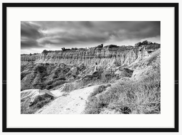 California Wall Fine Art Photo Print Artist Monica Kane Stewart