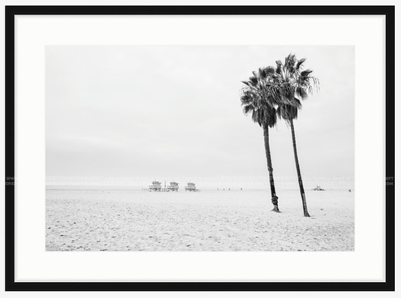 California Wall Fine Art Photo Print Artist Monica Kane Stewart