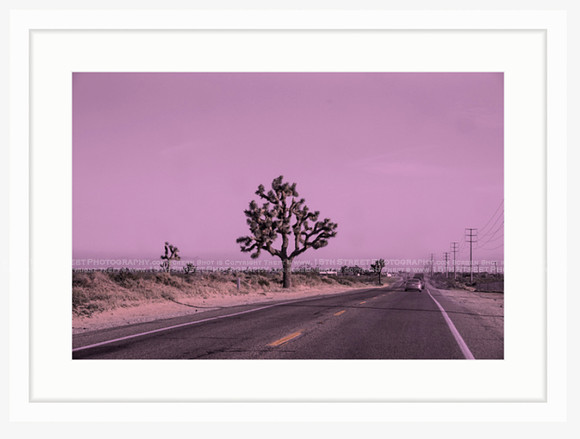 California Wall Fine Art Photo Print Artist Monica Kane Stewart