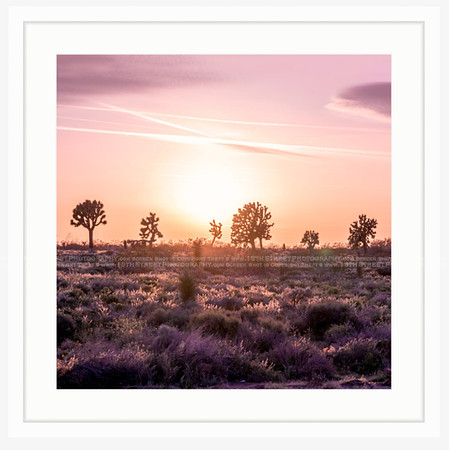 California Wall Fine Art Photo Print Artist Monica Kane Stewart
