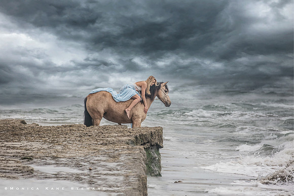 Horse on Beach Portrait in San Diego Del Mar copyright Monica Kane Stewart