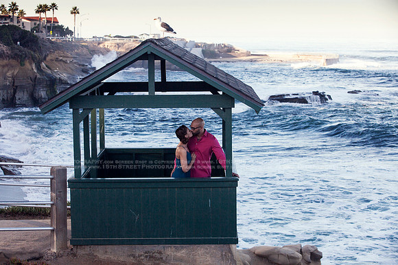 San Diego Los Angeles Del Mar La Jolla Laguna Newport Beach Unique Family Couples Engagement Child Senior Headshot Fashion Fine Art Portrait Photographer Monica Kane Stewart 15thStreetPhotography.com
