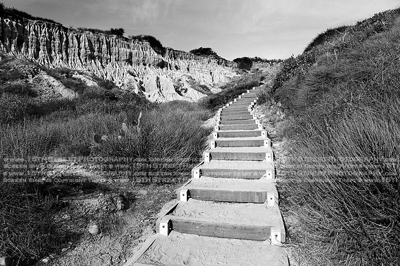 California Wall Fine Art Photo Print Artist Monica Kane Stewart