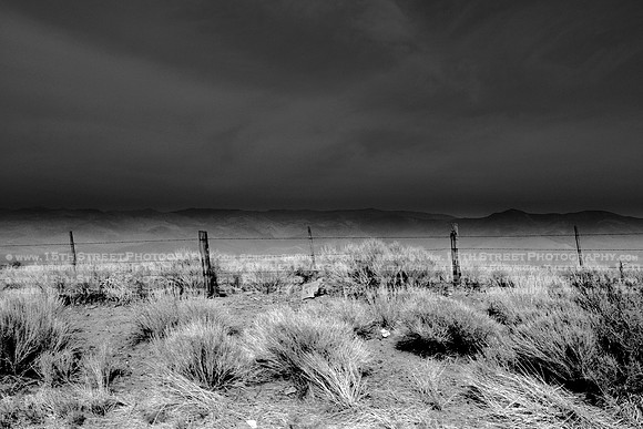California Wall Fine Art Photo Print Artist Monica Kane Stewart