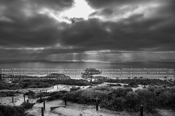 California Wall Fine Art Photo Print Artist Monica Kane Stewart