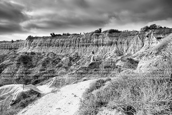California Wall Fine Art Photo Print Artist Monica Kane Stewart